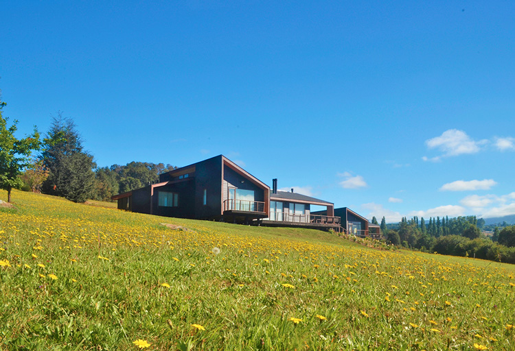 Casas en Lago Ranco